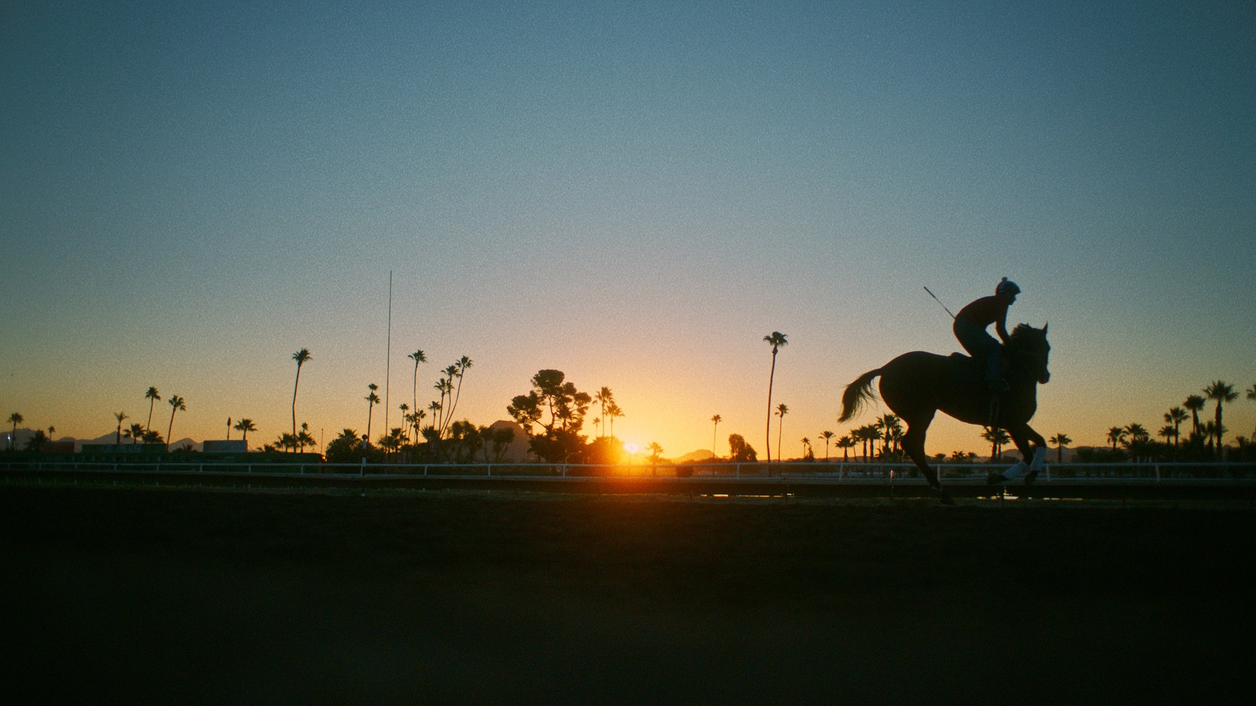 سوارکار Jockey 2021