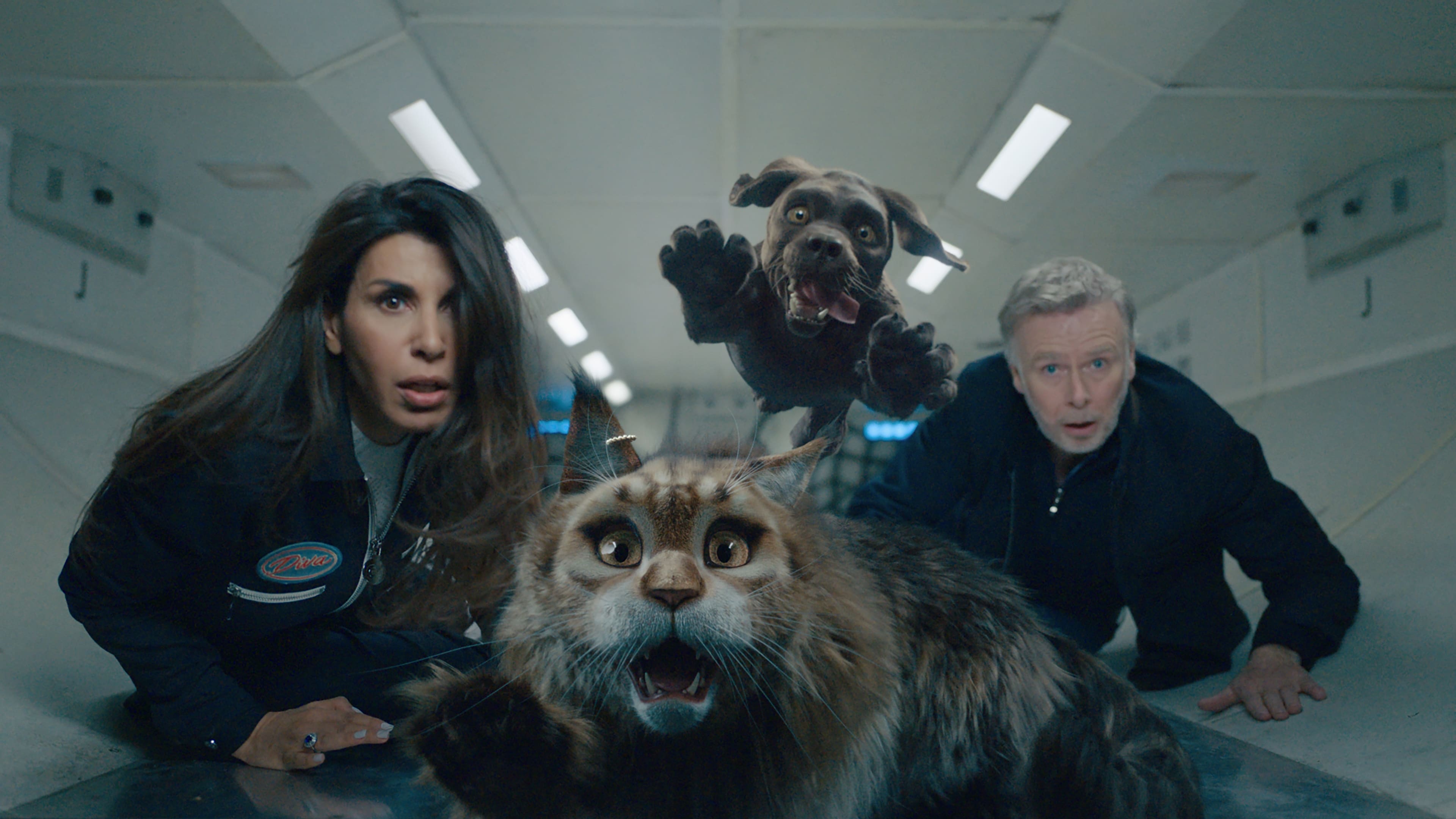 دانلود فیلم گربه و سگ Cat and Dog 2024