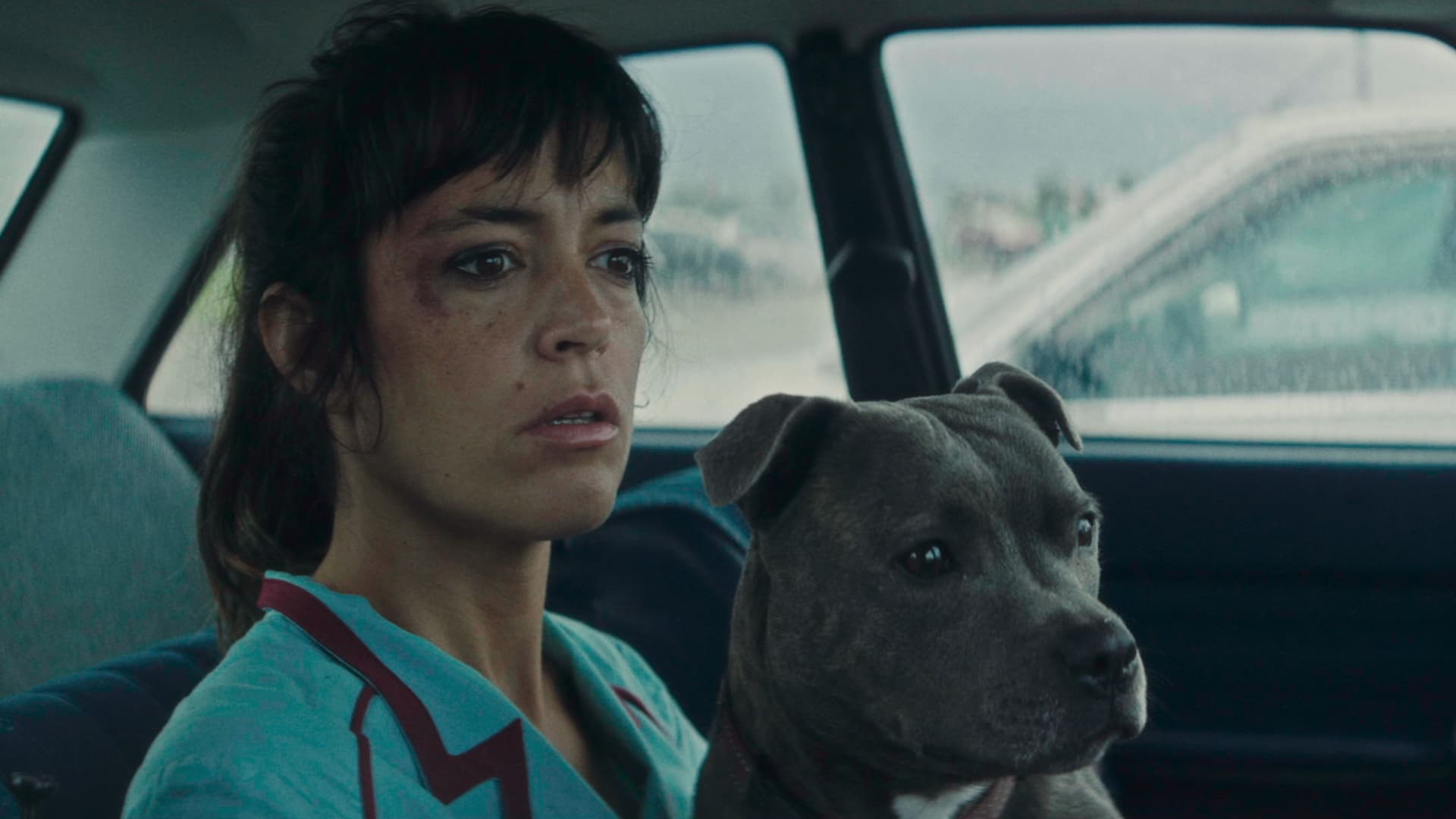 دانلود فیلم وینسنت باید بمیرد Vincent Must Die 2023
