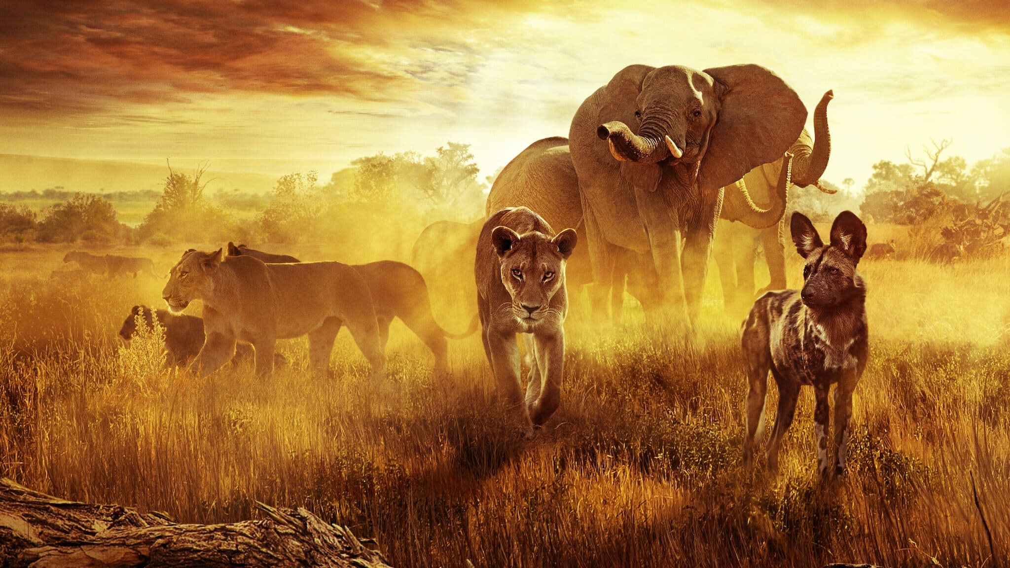 دانلود فیلم جان به در بردن از بهشت: یک داستان خانوادگی Surviving Paradise: A Family Tale 2022